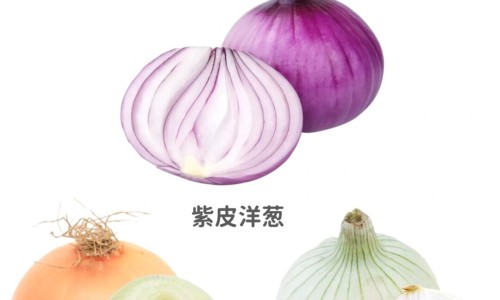 牛磺酸颗粒的功效与作用网 - 网站提供牛磺酸颗粒的功效与作用大人感冒能吃?小常识、牛磺酸颗粒的功效与作用与副作用